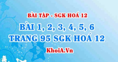 Bài tập Sự ăn mòn kim loại (ăn mòn hoá học, ăn mòn điện hoá): Giải bài 1, 2, 3, 4, 5, 6 trang 95 SGK Hoá 12